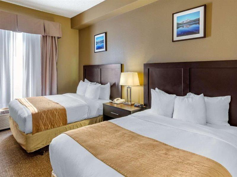 Comfort Inn Evanston I-80 Luaran gambar